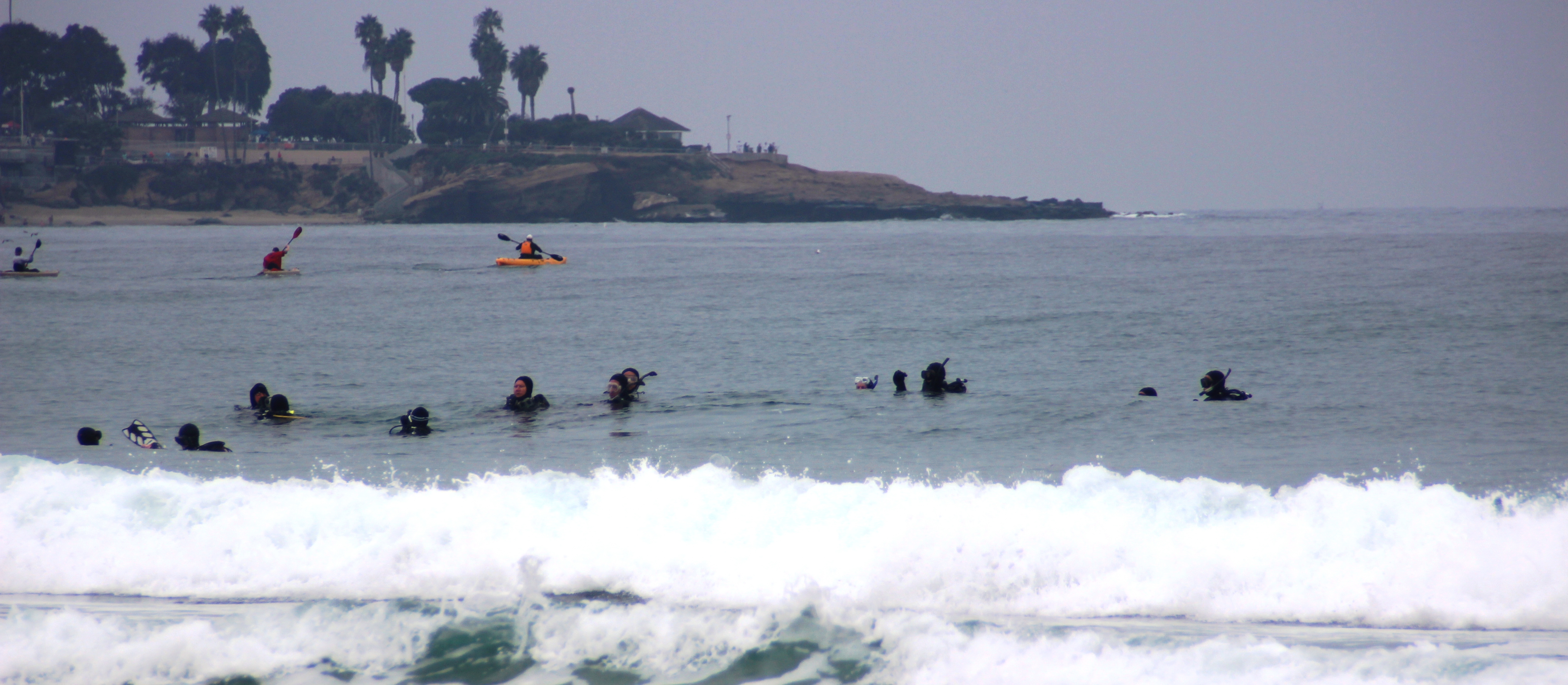 La Jolla Shore Dive